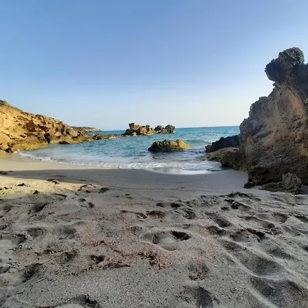 Florida Porto Pino