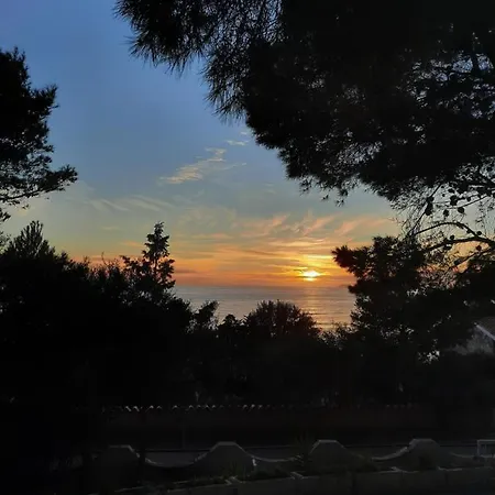 Florida * 포르토 피노